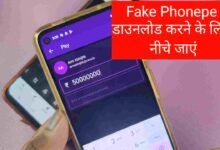 PhonePe App Download 2024 Easy Guide for India